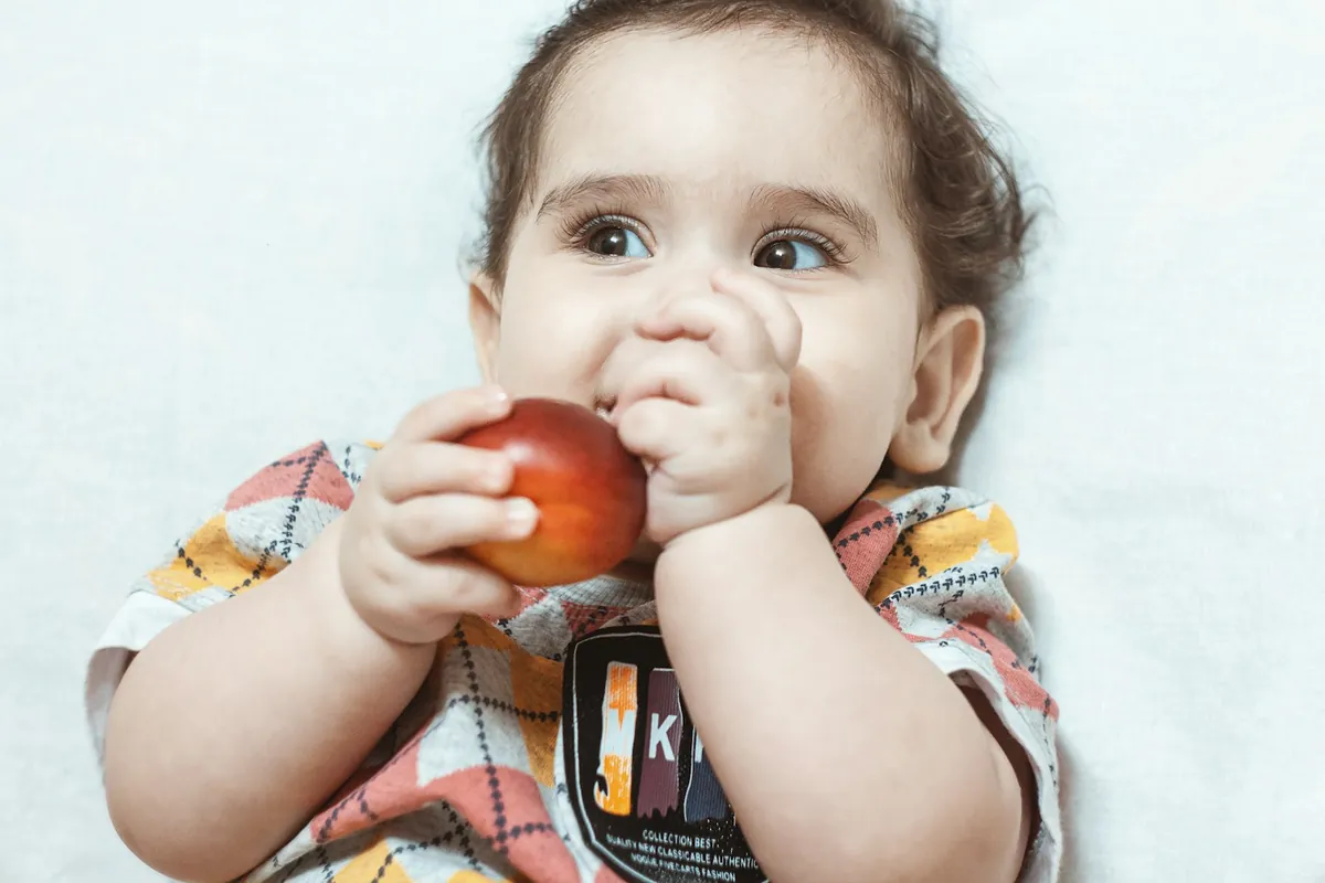 A baby holding a peach with both hands
