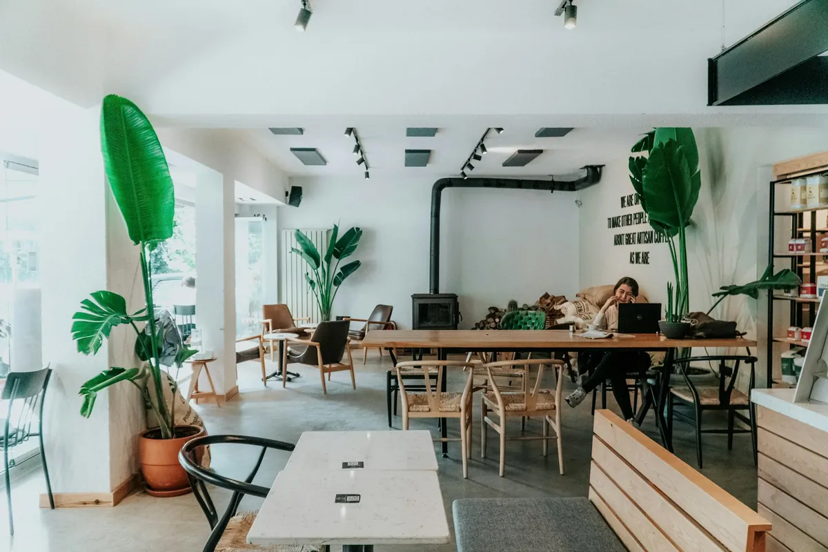 A cafe interior with plants and simple wooden furniture