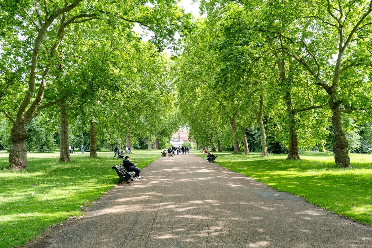 A wide green park with mature trees and a paved path