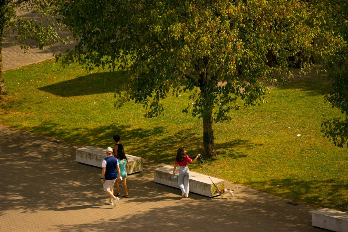 A green park with trees, benches and open grass