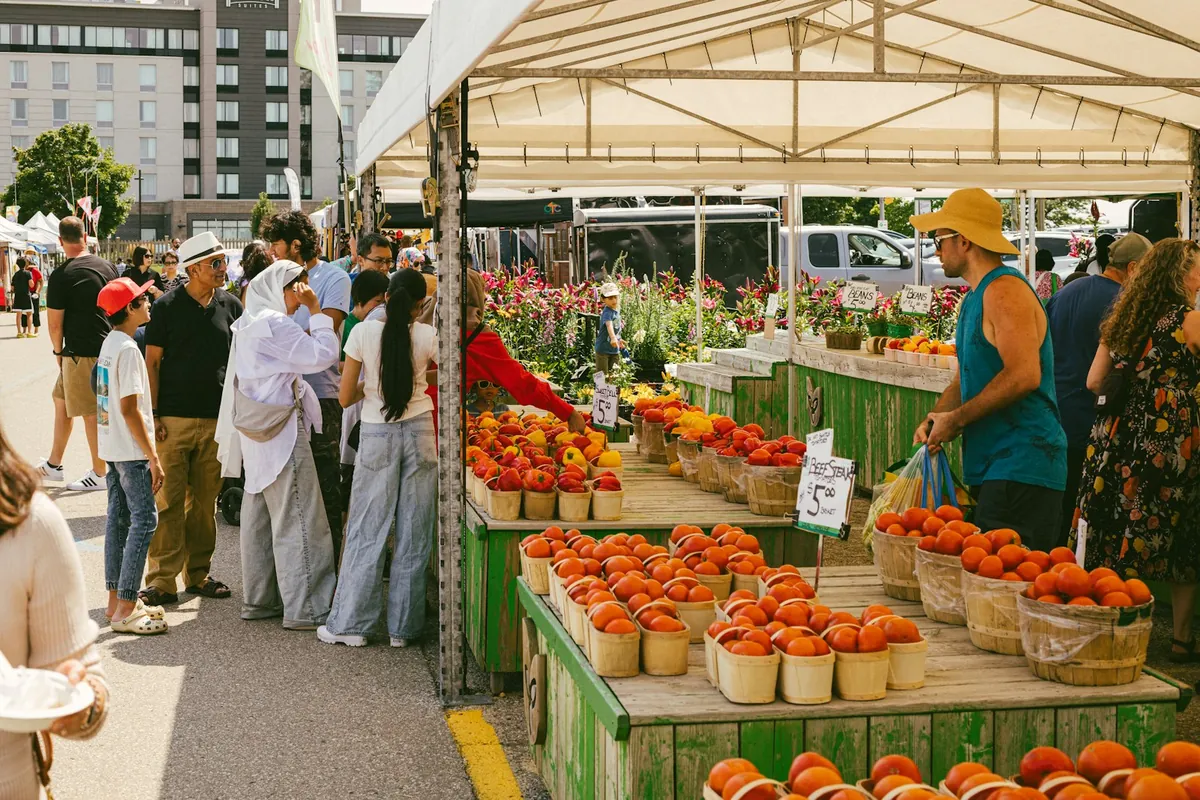 A market stall stacked with tomatoes beside flowers