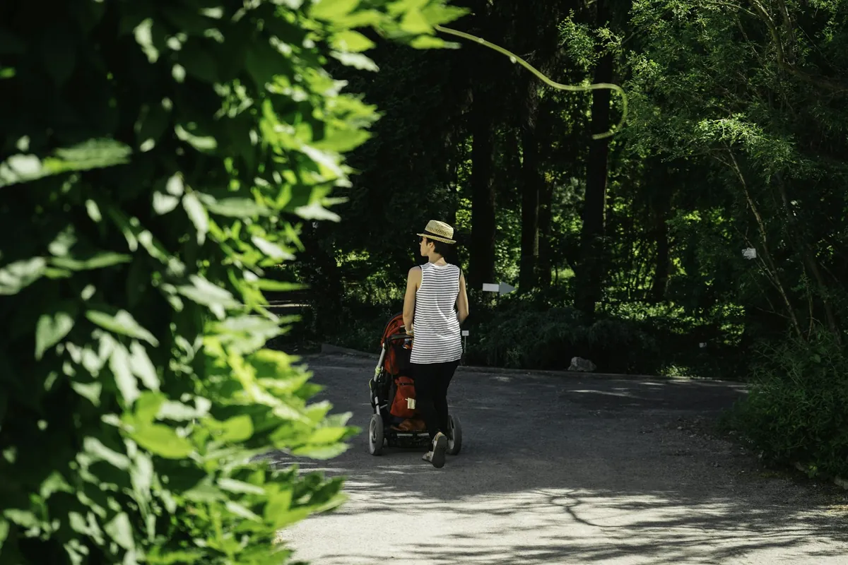 A parent pushing a pram along a shaded park path