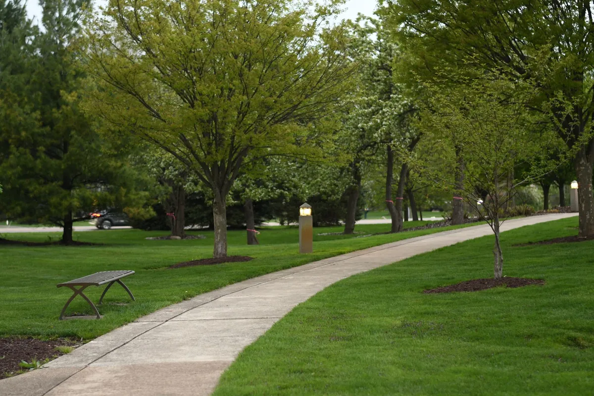 A paved park path curving beside a mown lawn and trees