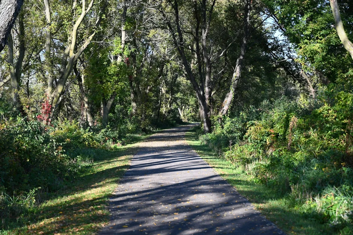 A paved trail curving away through green trees