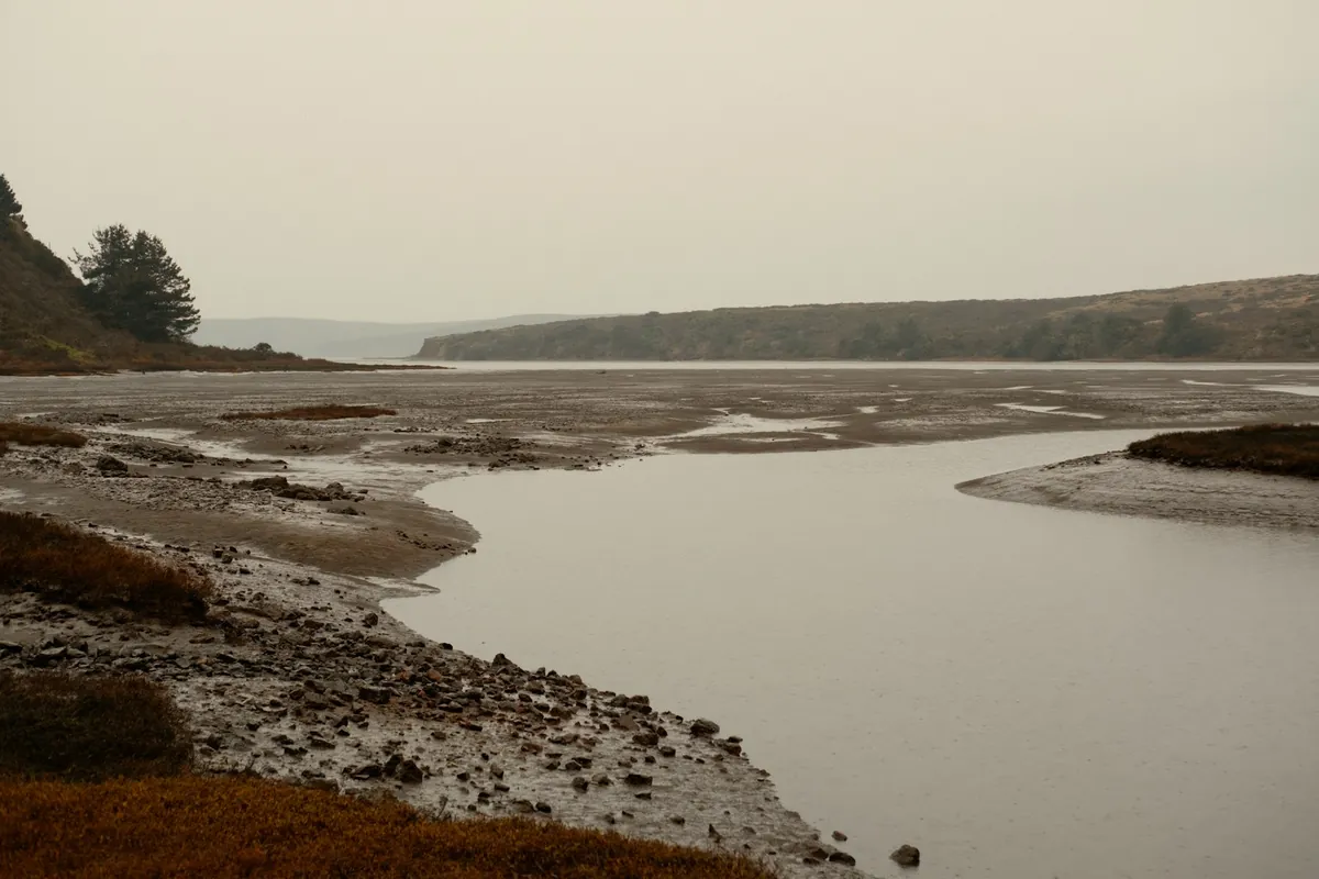 A wide shoreline exposed by low water
