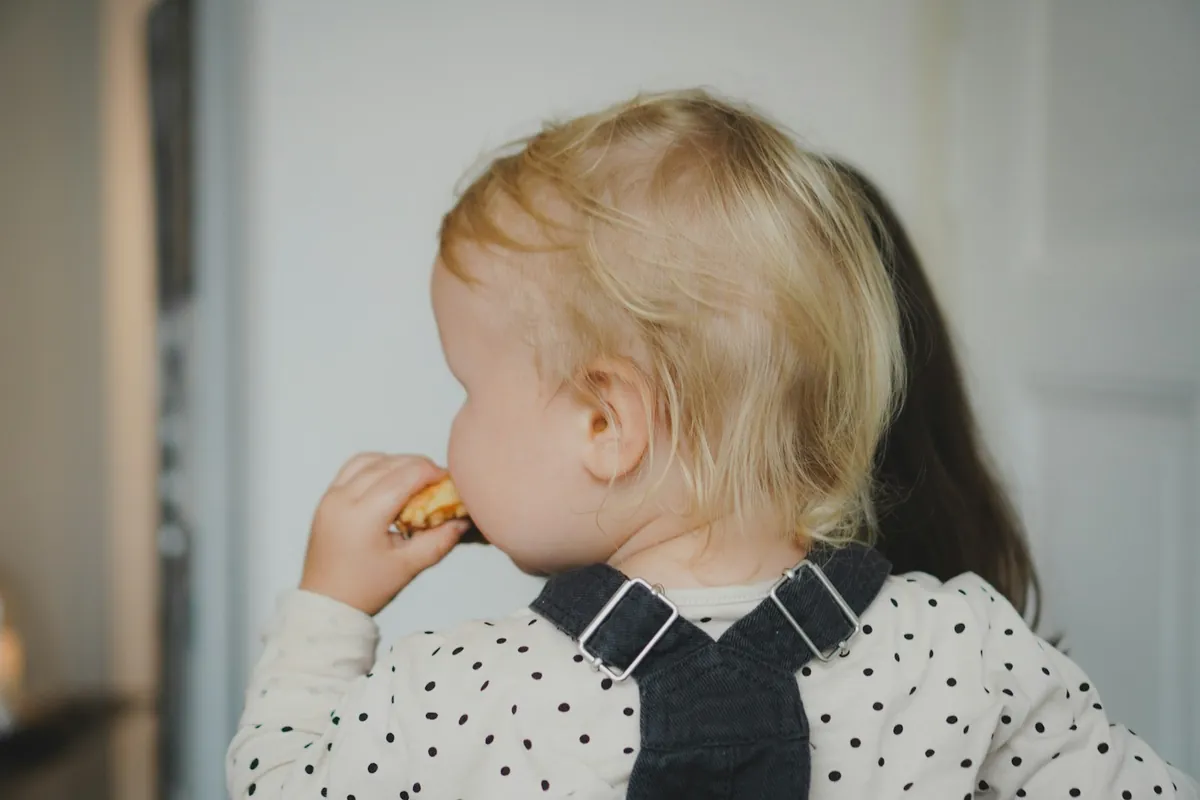 A toddler holding a biscuit at a table