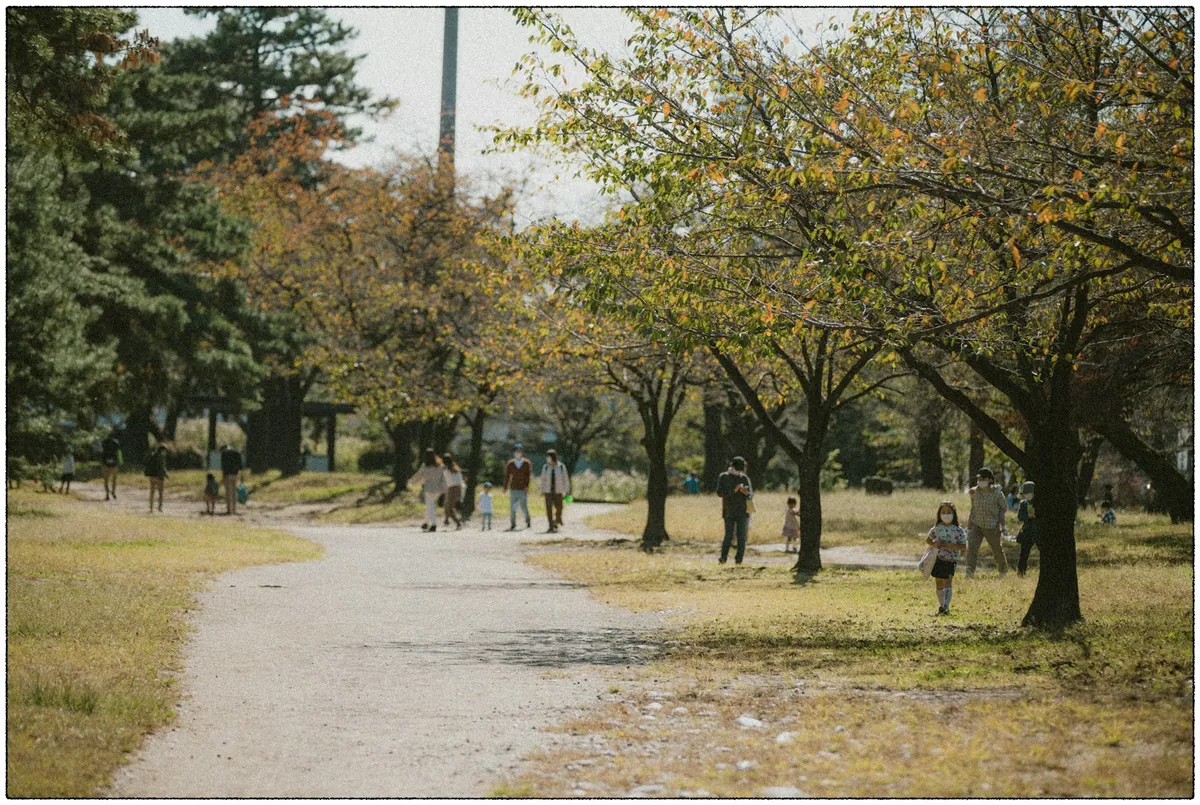 A path running through a park in autumn