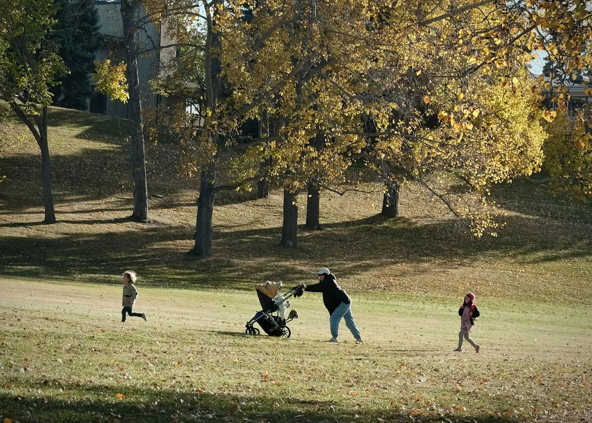 An open green park with mature trees and people walking