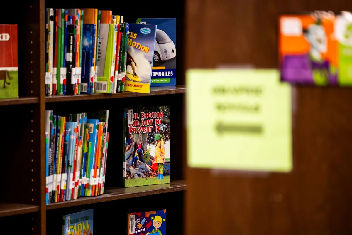 Rows of children books on a wooden library shelf