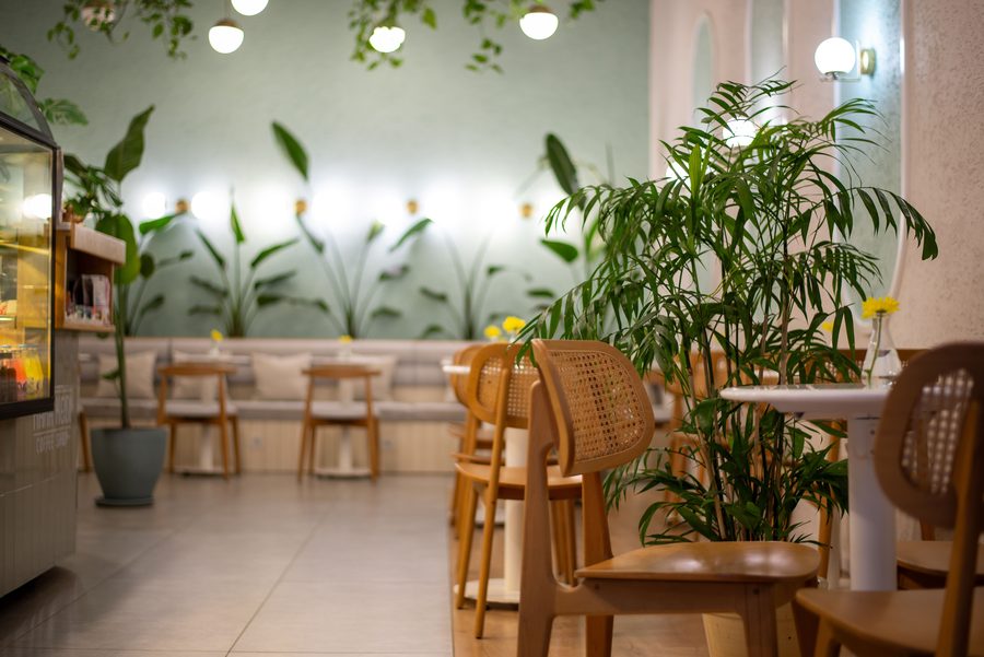 A warm, plant-filled cafe interior with wooden chairs