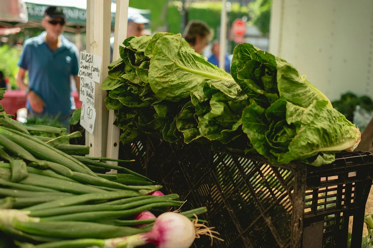 Crates of green vegetables on an outdoor market stall