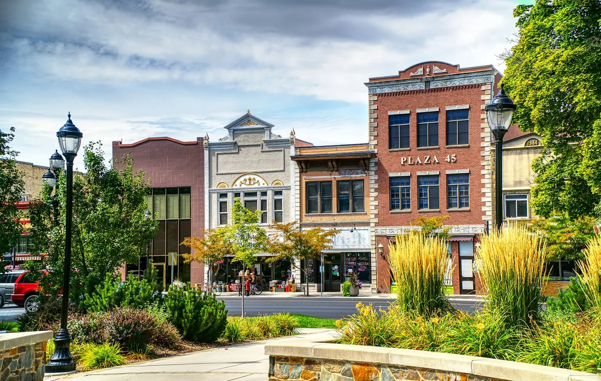 Shopfronts and street trees along a small-town street
